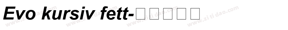 Evo kursiv fett字体转换